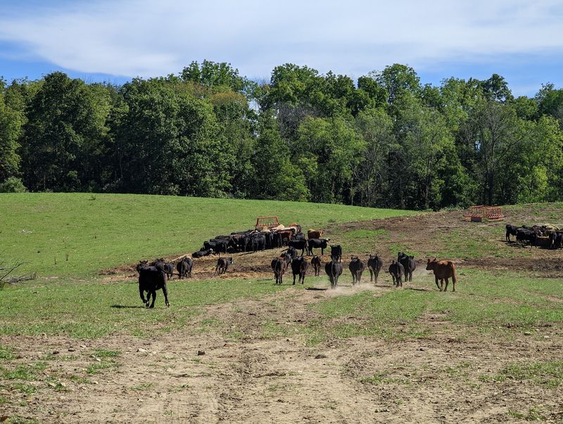 Regenerative Farming You Can Actually See Regenerative Farming You Can Actually See