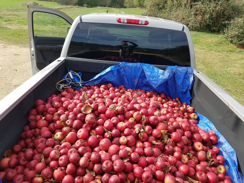 Rellim Orchard, Kearneysville, WV