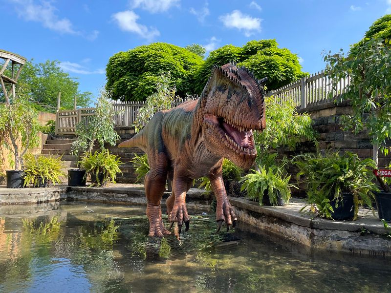 Rides, Roller Coasters, and Dinosaur Island Rides, Roller Coasters, and Dinosaur Island