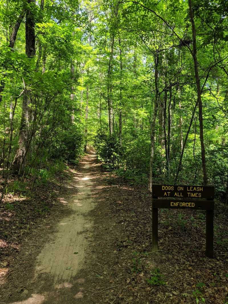 Ridge Trails That Wander for 23 Miles