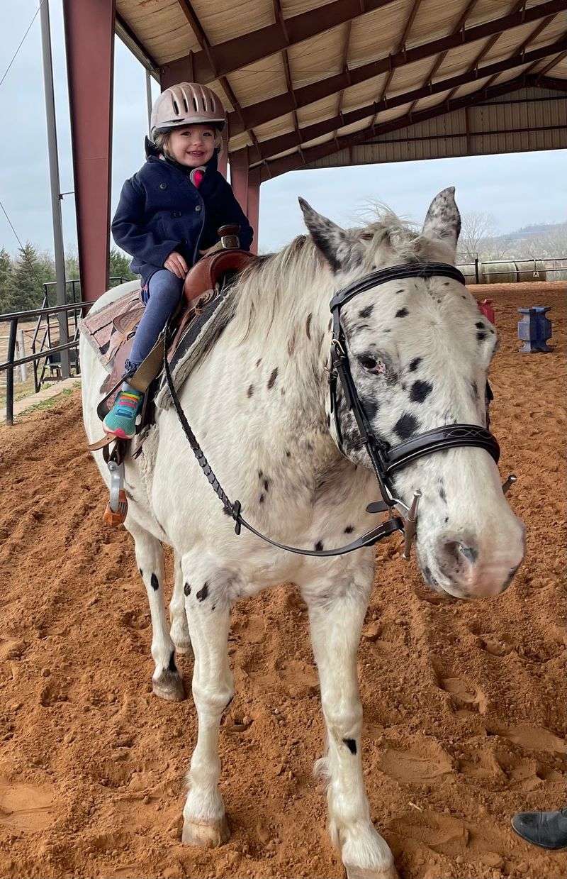 Riding Lessons That Actually Start At The Beginning Riding Lessons That Actually Start At The Beginning