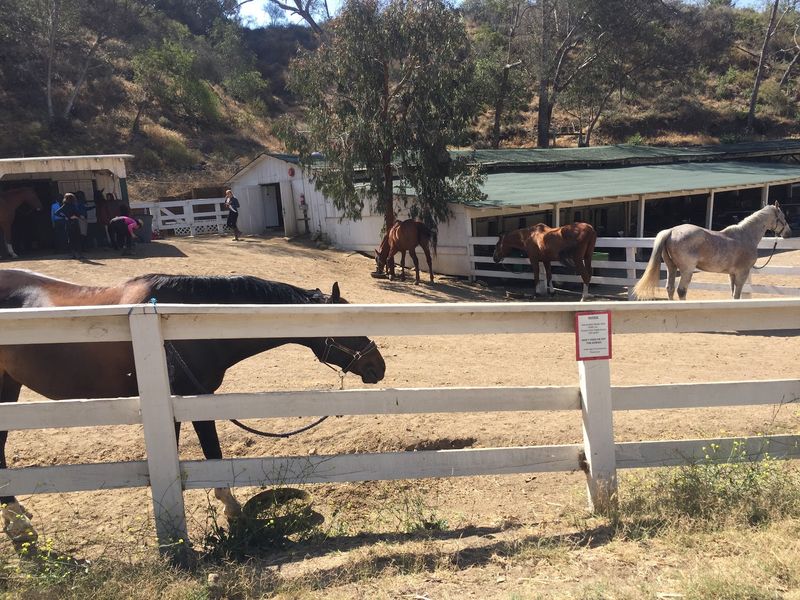 Riding Rings, Roping Arenas and Real Ranch Life