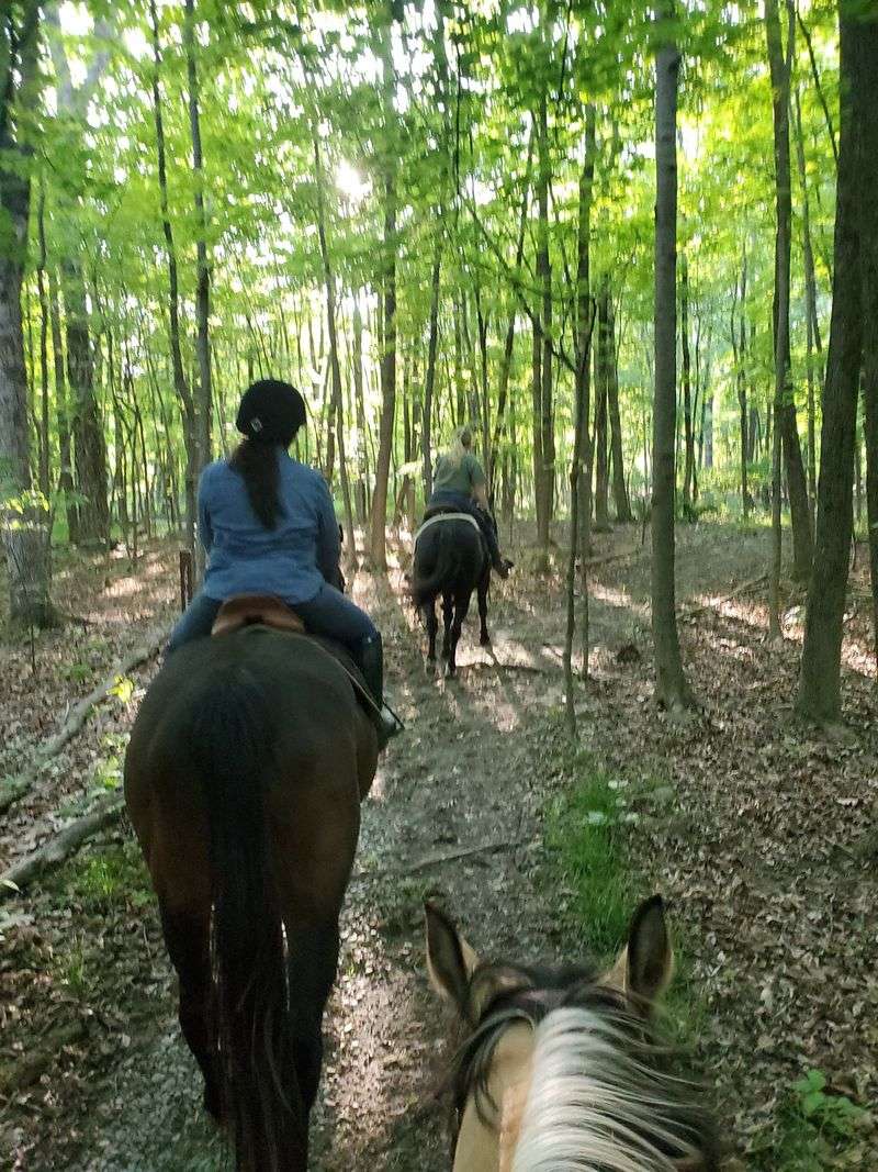 Riding The Trails That Wander Through Old Pastures Riding The Trails That Wander Through Old Pastures
