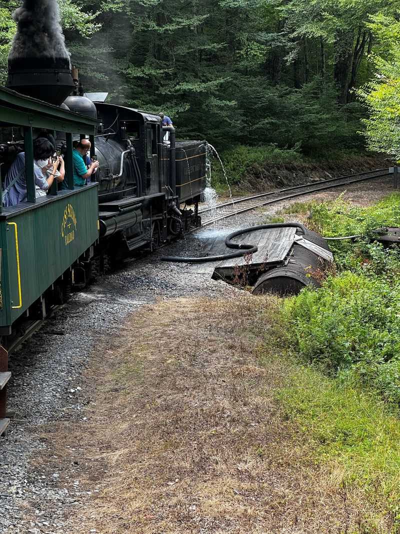 Riding in Refurbished Logging Cars Riding in Refurbished Logging Cars