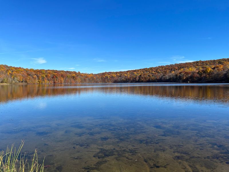 Ringwood State Park, A Tapestry of History and Nature Ringwood State Park, A Tapestry of History and Nature