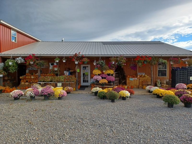 River Bend Amish Market & Greenhouse, Valley Bend, WV