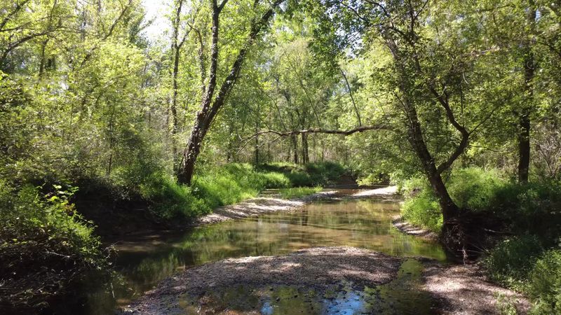 River Overlooks And Plenty Of Wildlife
