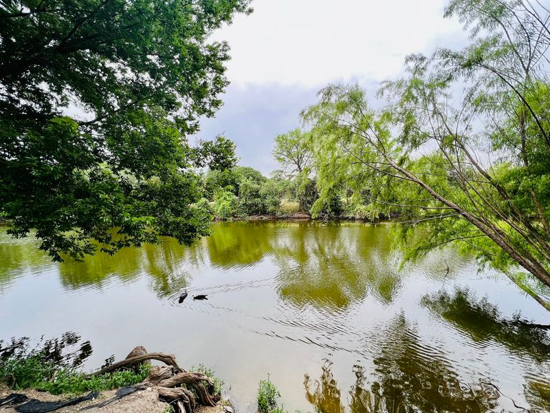 River Road Park and the Widening Water
