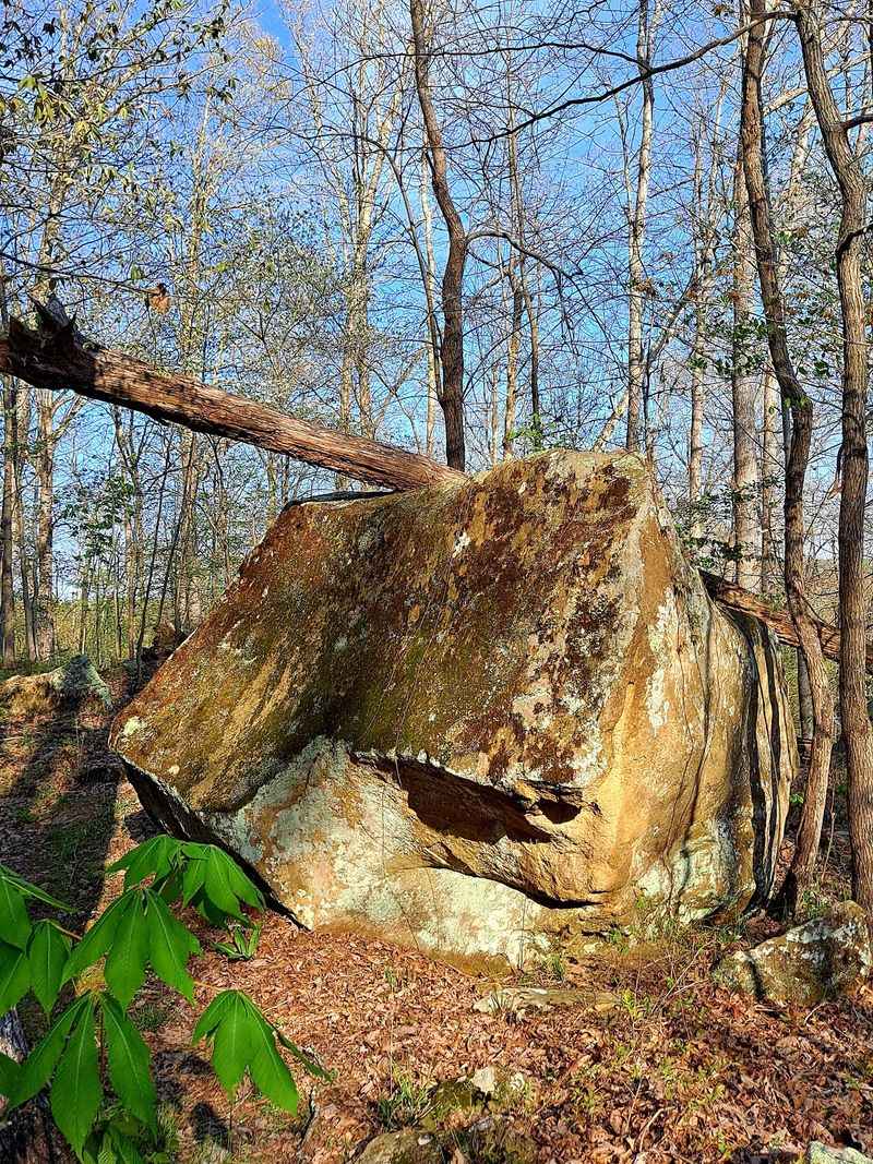 Rocky Bones, Boulders, and Unexpected Views