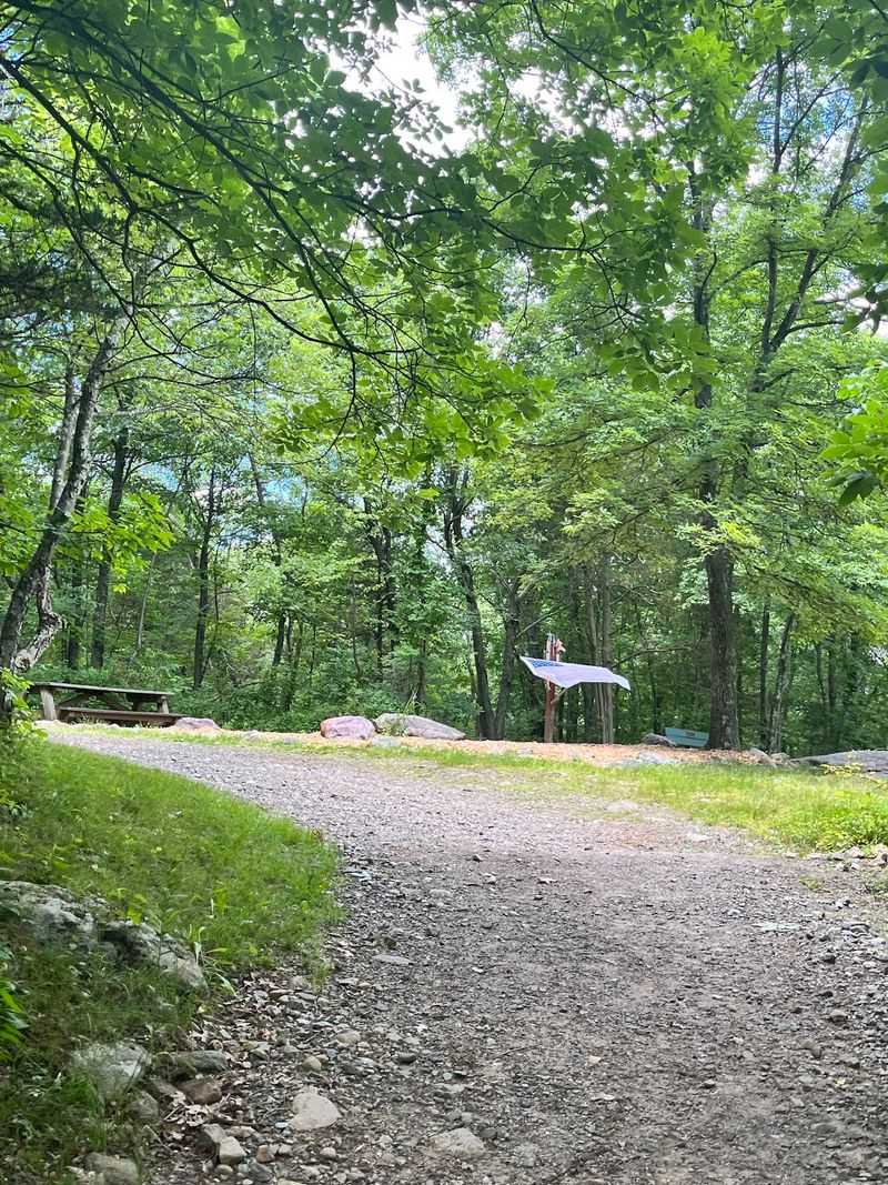 Rocky Trails That Keep Things Interesting