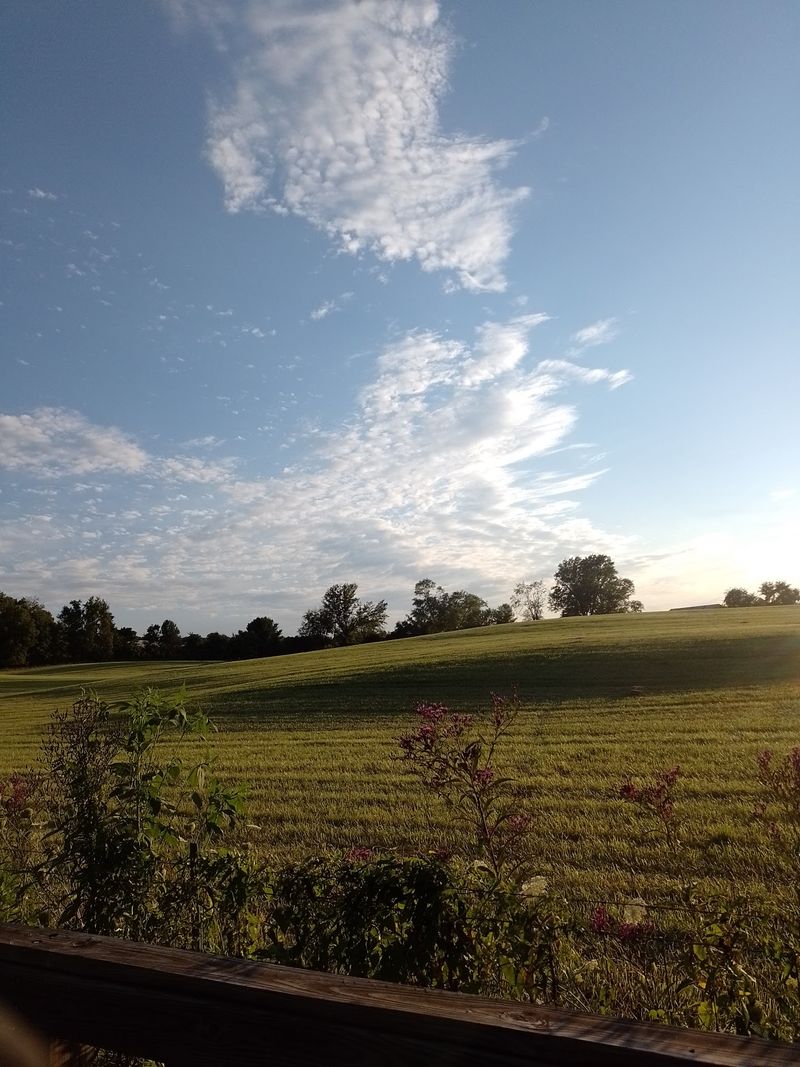 Rolling Pasture Country That Slows Everything Down