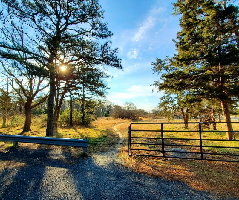 Room For Families, Dogs, And Slow Wandering