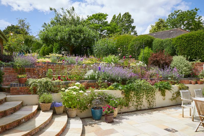 Roses, Gazebos And Green Space Within Walking Distance Roses, Gazebos And Green Space Within Walking Distance