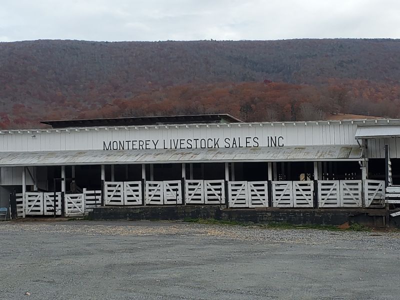 Route 250 and the Climb Over Shenandoah Mountain Route 250 and the Climb Over Shenandoah Mountain