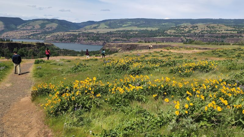 Rowena Plateau Trail for an Easy Wander Rowena Plateau Trail for an Easy Wander