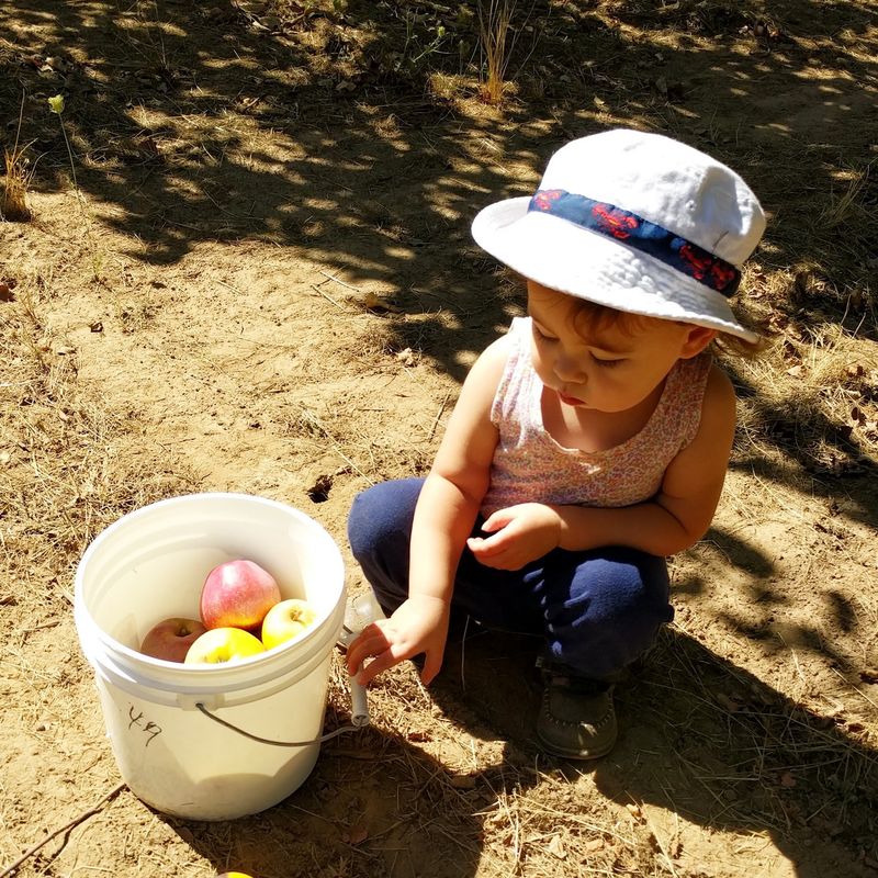 Rows That Work for Little Kids and Grandparents Alike Rows That Work for Little Kids and Grandparents Alike