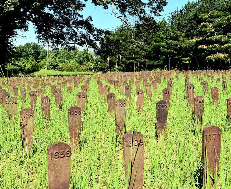 Rows of Iron Markers in Cedar Lane Cemetery Rows of Iron Markers in Cedar Lane Cemetery