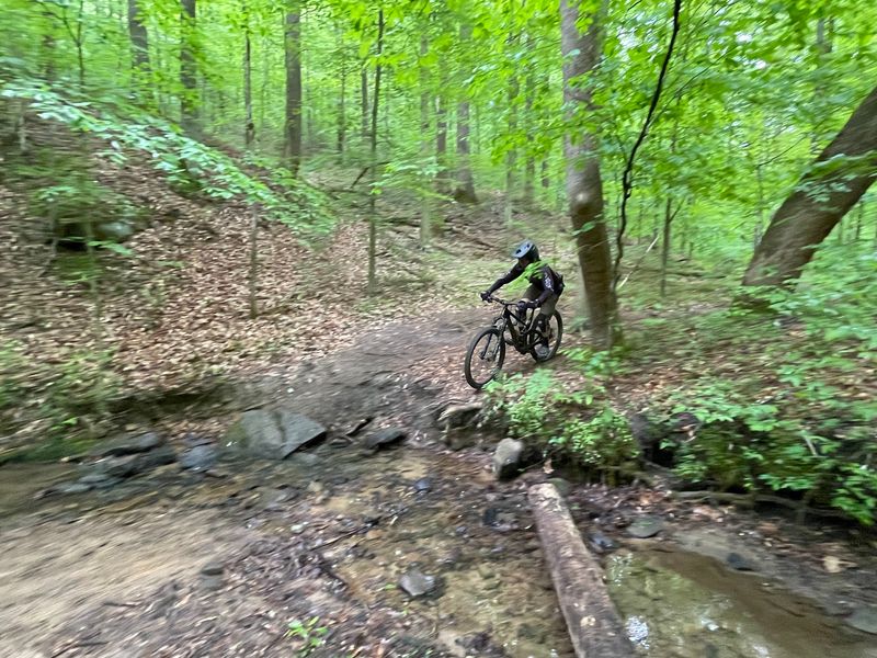 Rugged Rides for Mountain Bikers Rugged Rides for Mountain Bikers