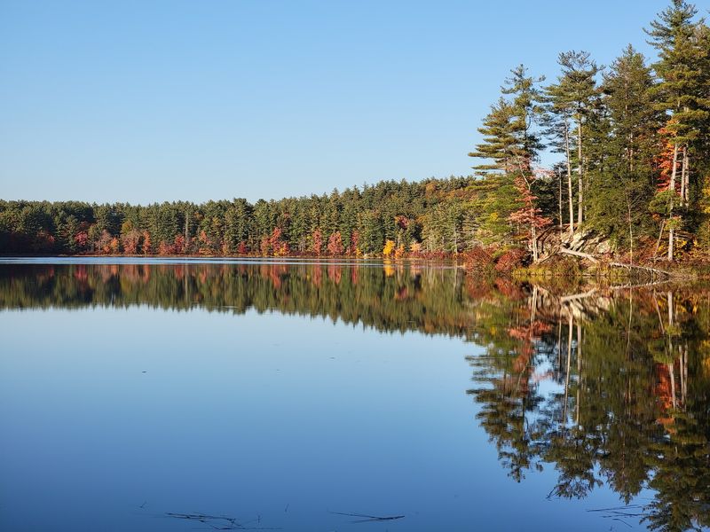 Rustic Cabins At Bear Hill With Pond Views Rustic Cabins At Bear Hill With Pond Views