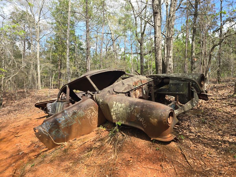 Rusty Cars Hiding in the Woods Rusty Cars Hiding in the Woods