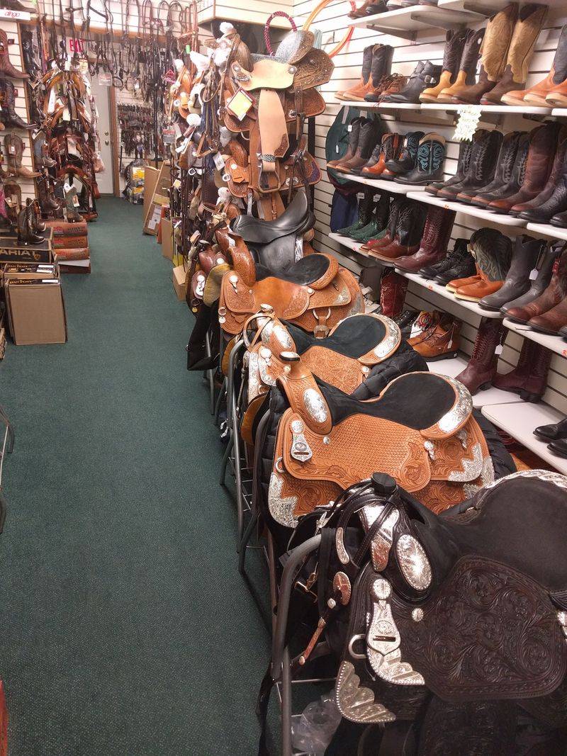 Saddles Worth a Long Look Saddles Worth a Long Look