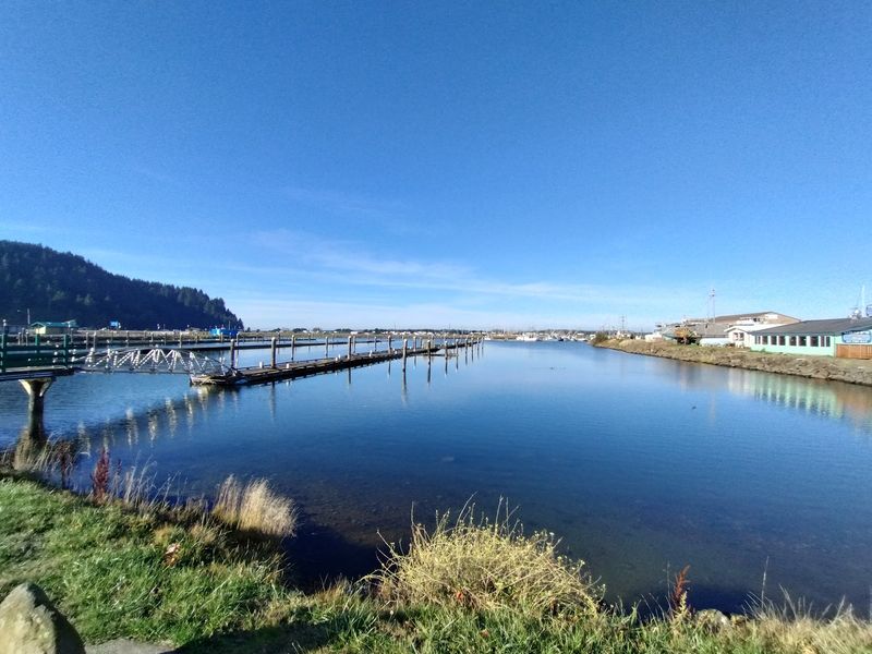 Salmon Harbor Marina Mornings