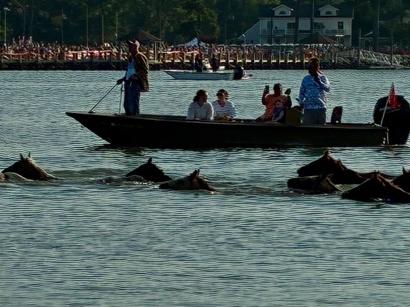 Saltwater Cowboys And Island Legends