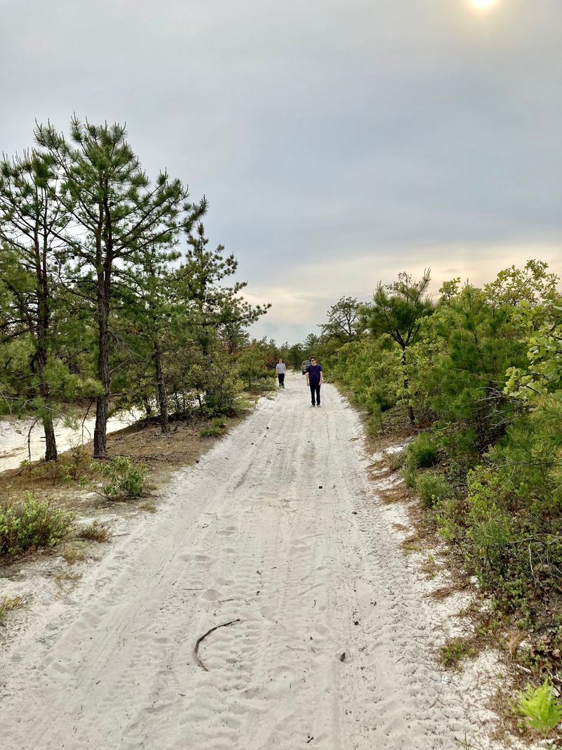 Sand Roads Instead of Marked Trails Sand Roads Instead of Marked Trails