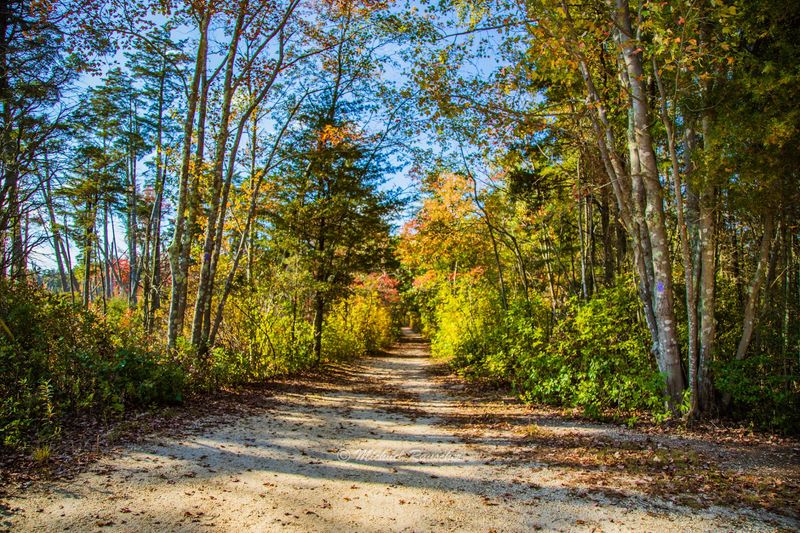 Sandy Trails Made for Wandering