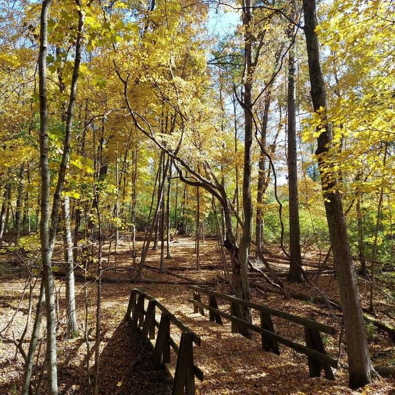 Saturday Nature School and Family Programs