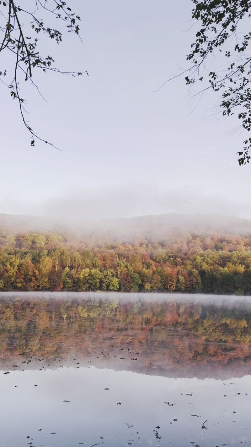 Scarlet Oak Pond and Its Mirror Surface