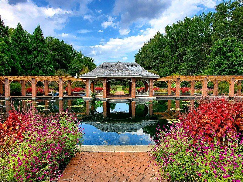 Seasonal Blooms That Rewrite the Whole Garden Seasonal Blooms That Rewrite the Whole Garden