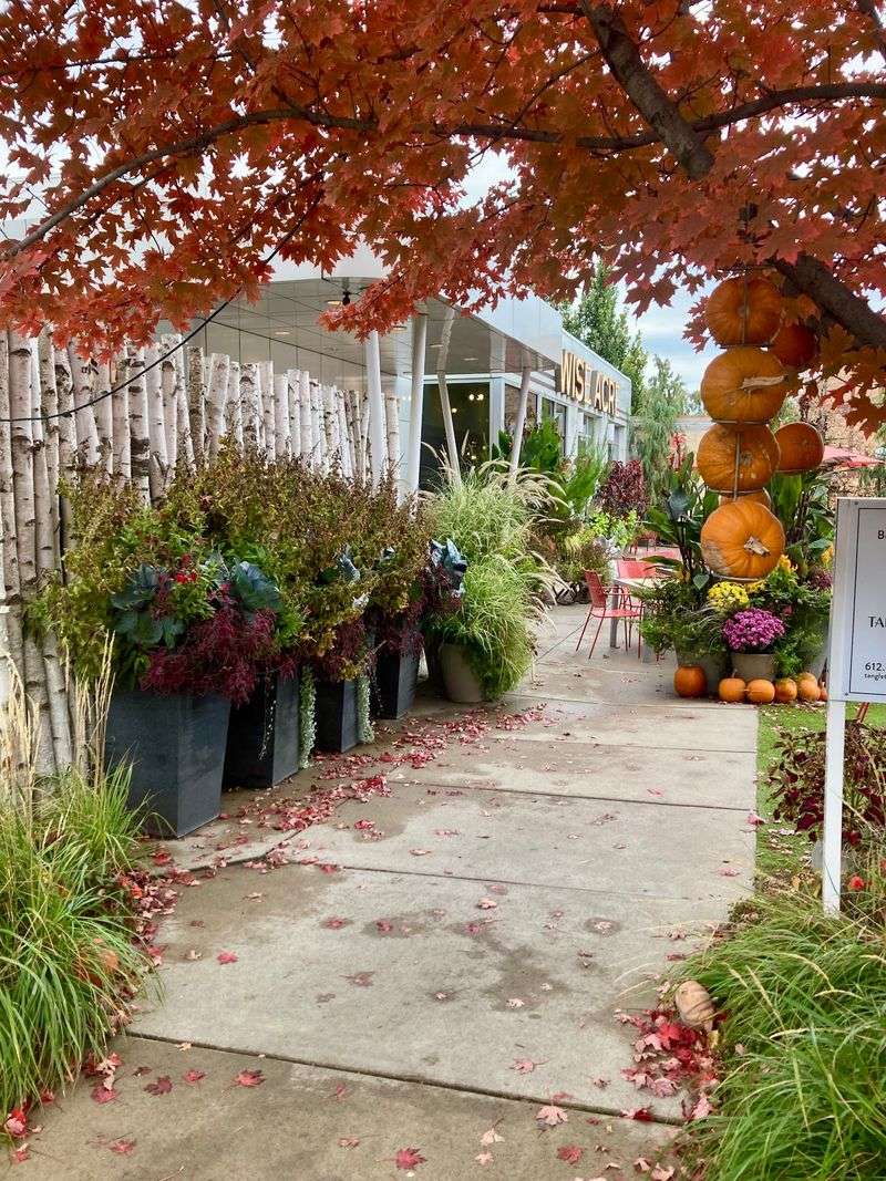 Seasonal Events That Turn Lunch Into an Outing Seasonal Events That Turn Lunch Into an Outing
