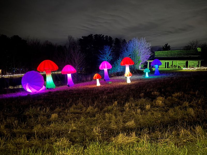 Seasonal Events and the Enchanted Woods Lights