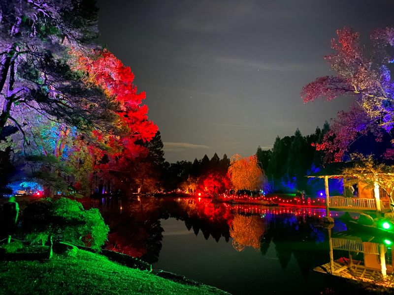 Seasonal Glow Nights And Holiday Sparkle