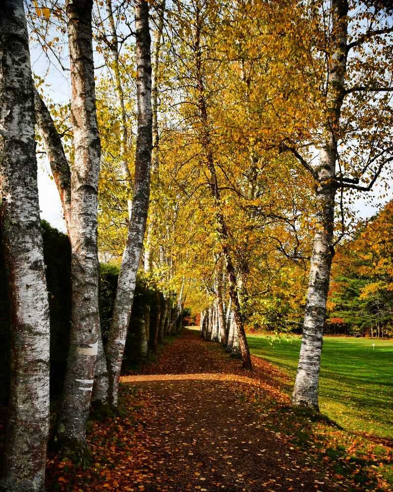 Seasonal Rhythms Worth Planning Around Seasonal Rhythms Worth Planning Around
