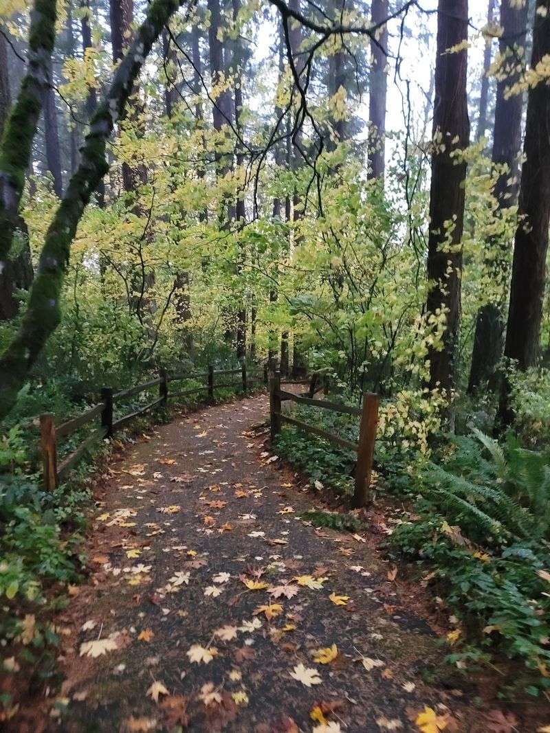 Seasons Change The Mood Completely Seasons Change The Mood Completely