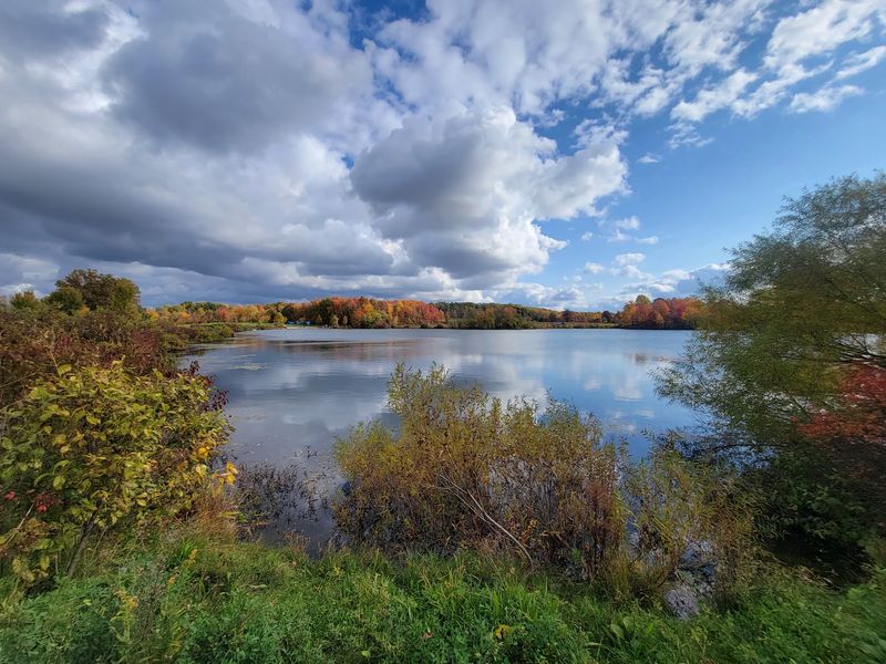 Seasons of Blooms, Fall Color, and Skeleton Grove