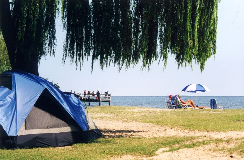 Shade Trees Right at the Sand Line Shade Trees Right at the Sand Line