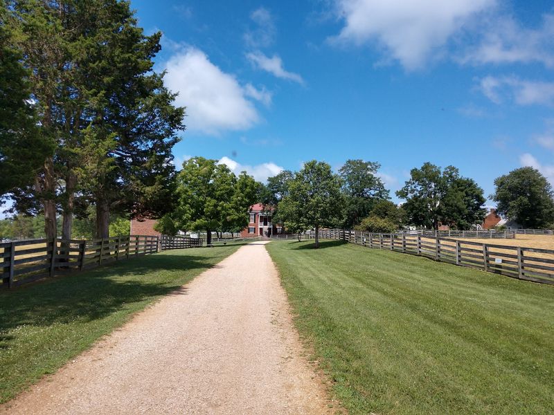 Shaded Trails Worth Lacing Up Your Boots For