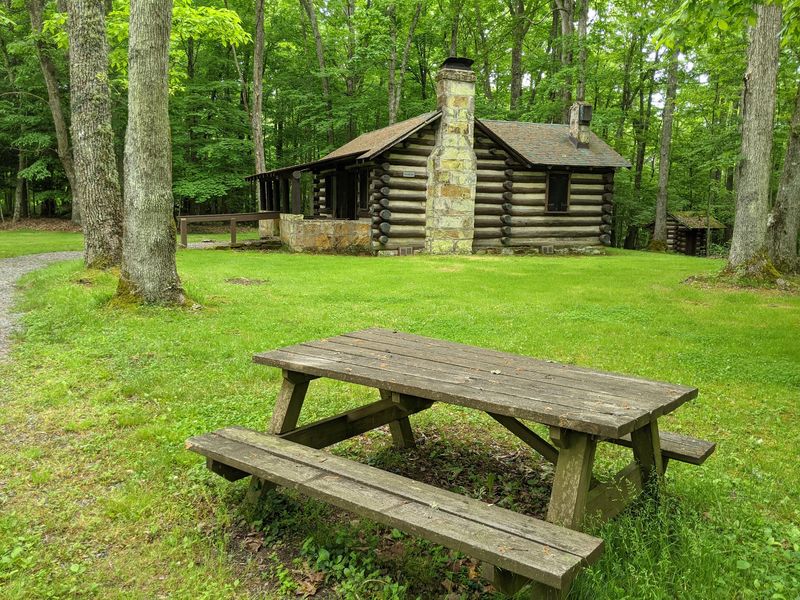 Shady Picnic Spots and Family Reunions