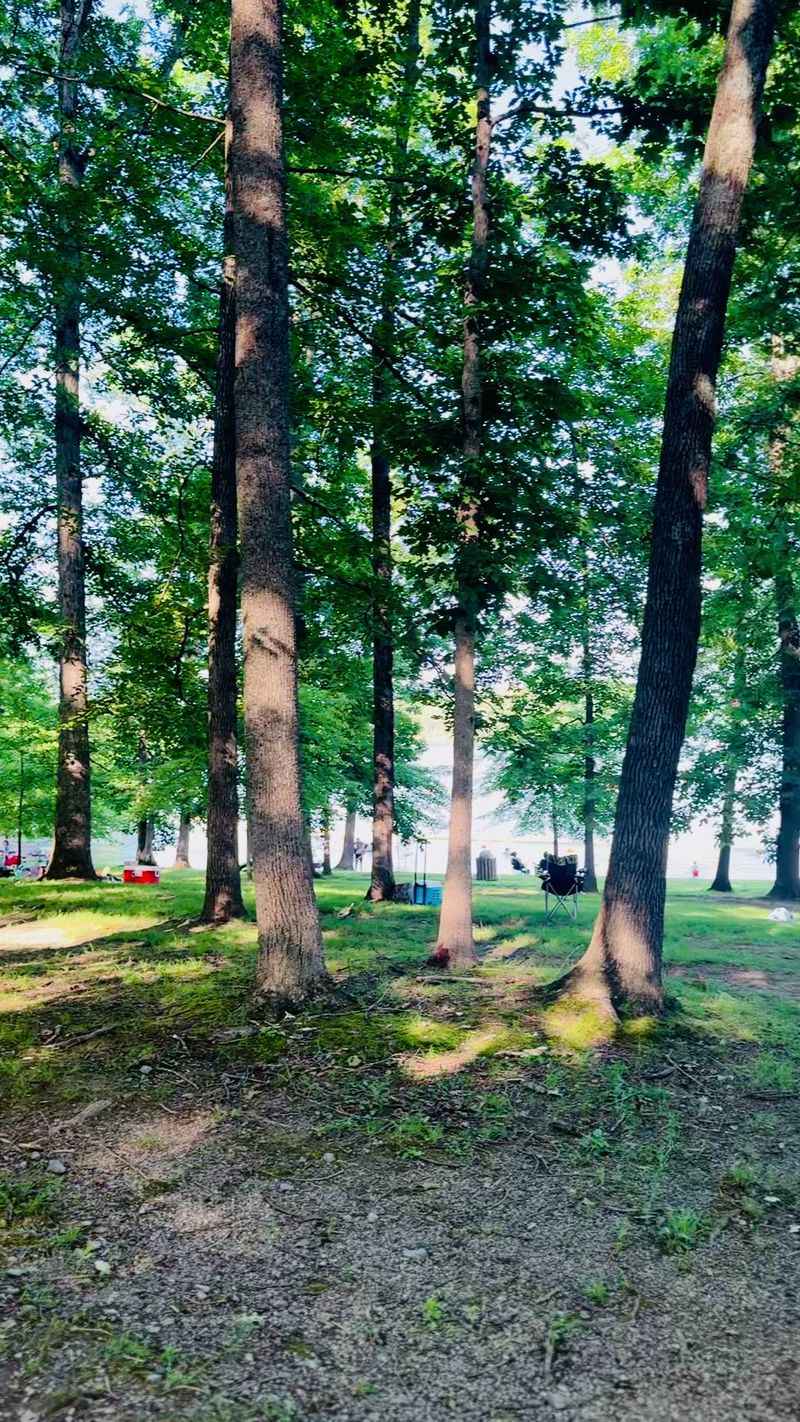 Shady Trees and Grassy Spots to Spread Out