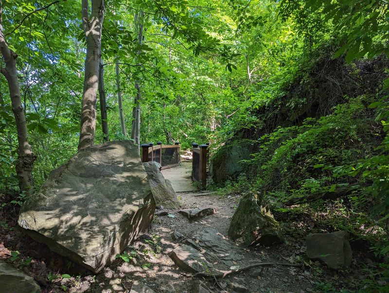 Shady Walking Trails Around The Hillside Shady Walking Trails Around The Hillside