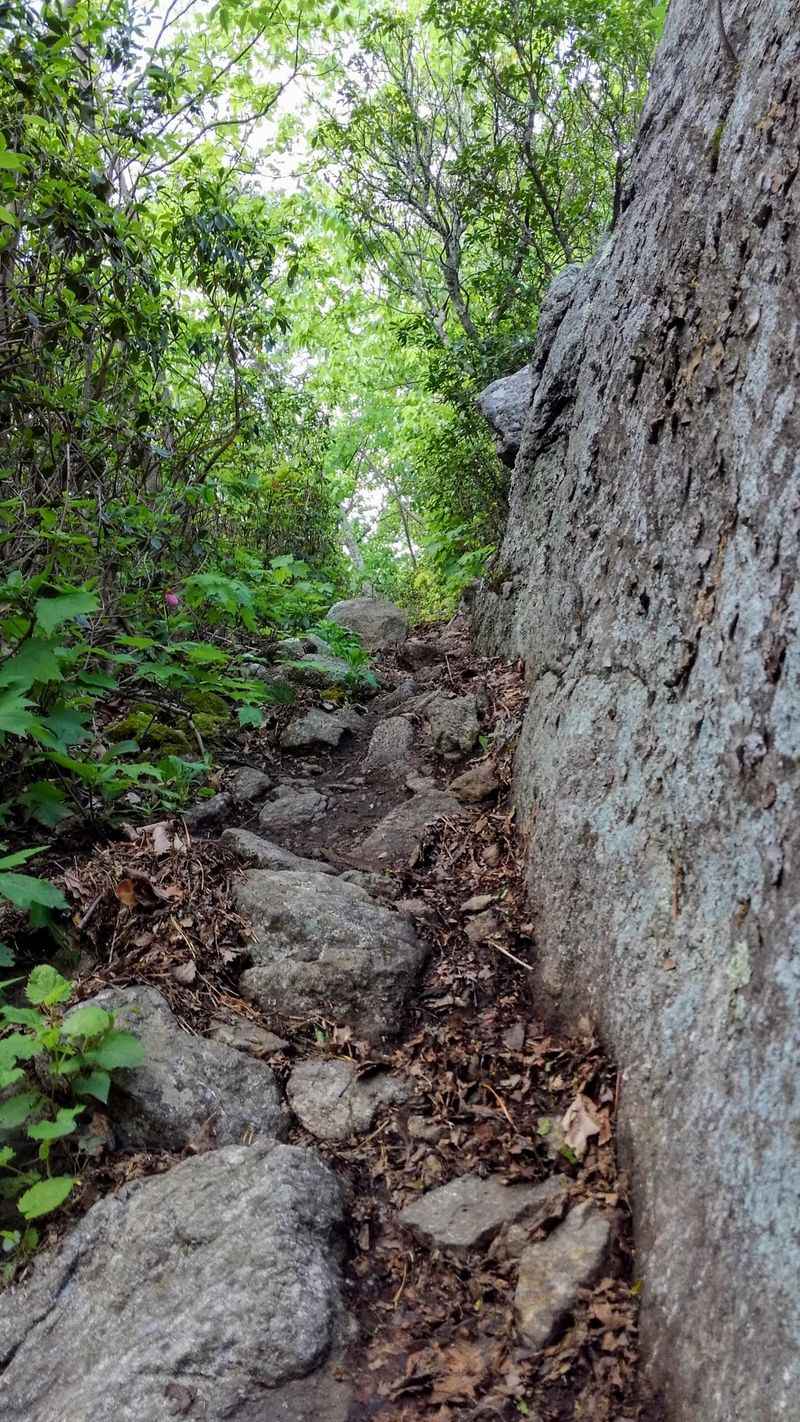 Shenandoah National Park Puts Ridge Lines Within Leash Reach Shenandoah National Park Puts Ridge Lines Within Leash Reach