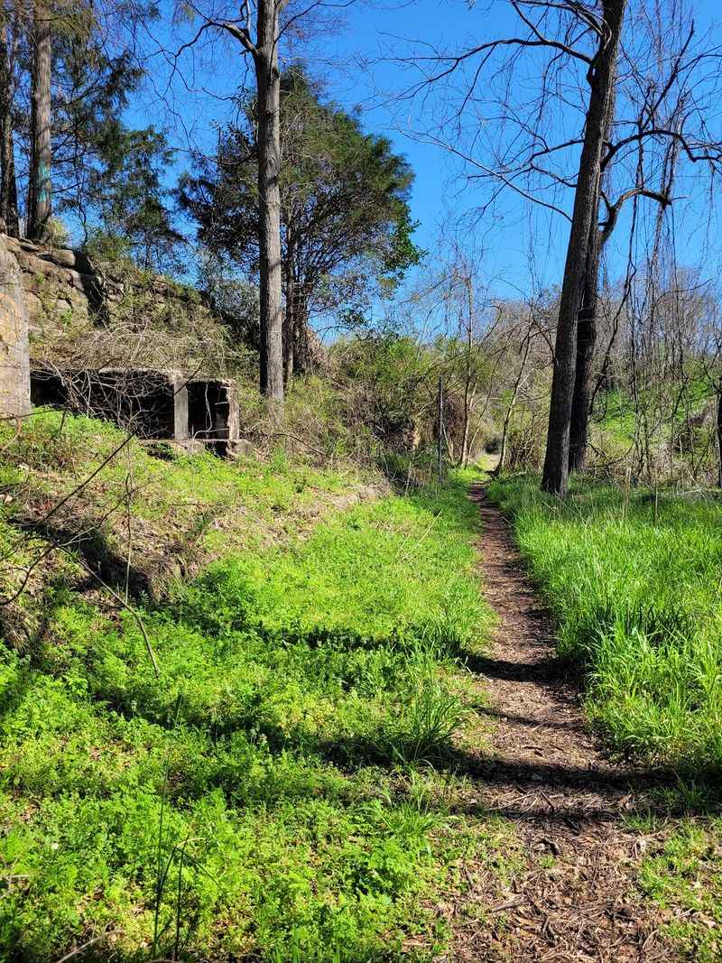 Short Trails, Deep Shade