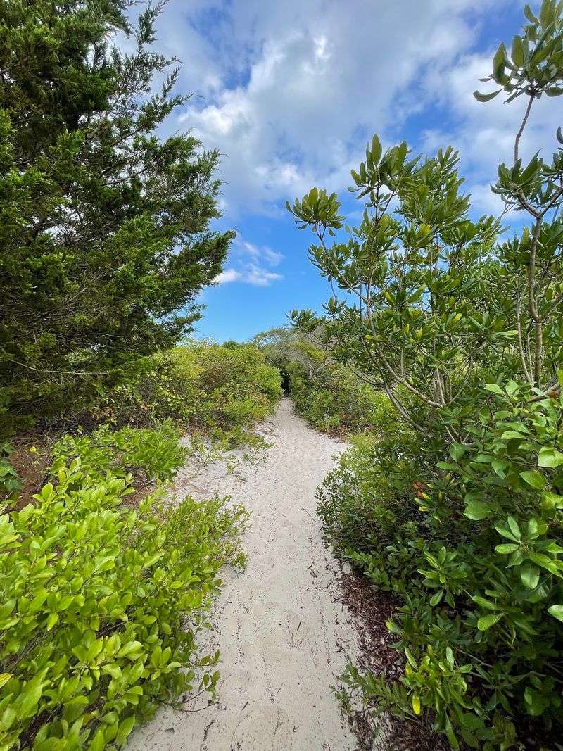 Short Trails With Surprisingly Big Payoffs Short Trails With Surprisingly Big Payoffs