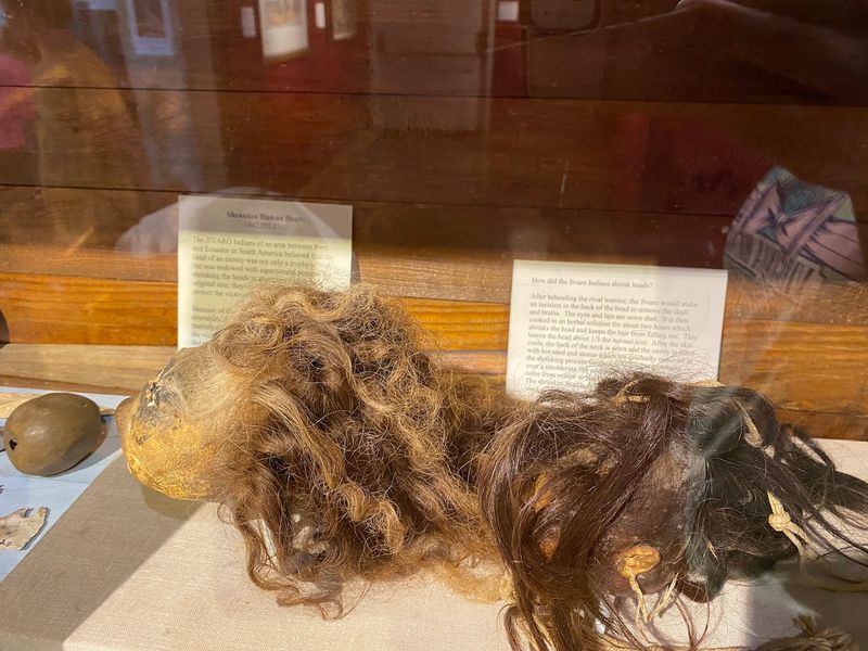 Shrunken Heads and the Curiosities Beside Them