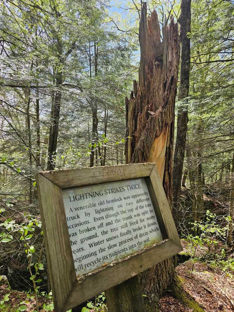 Signs That Tell the Story Signs That Tell the Story