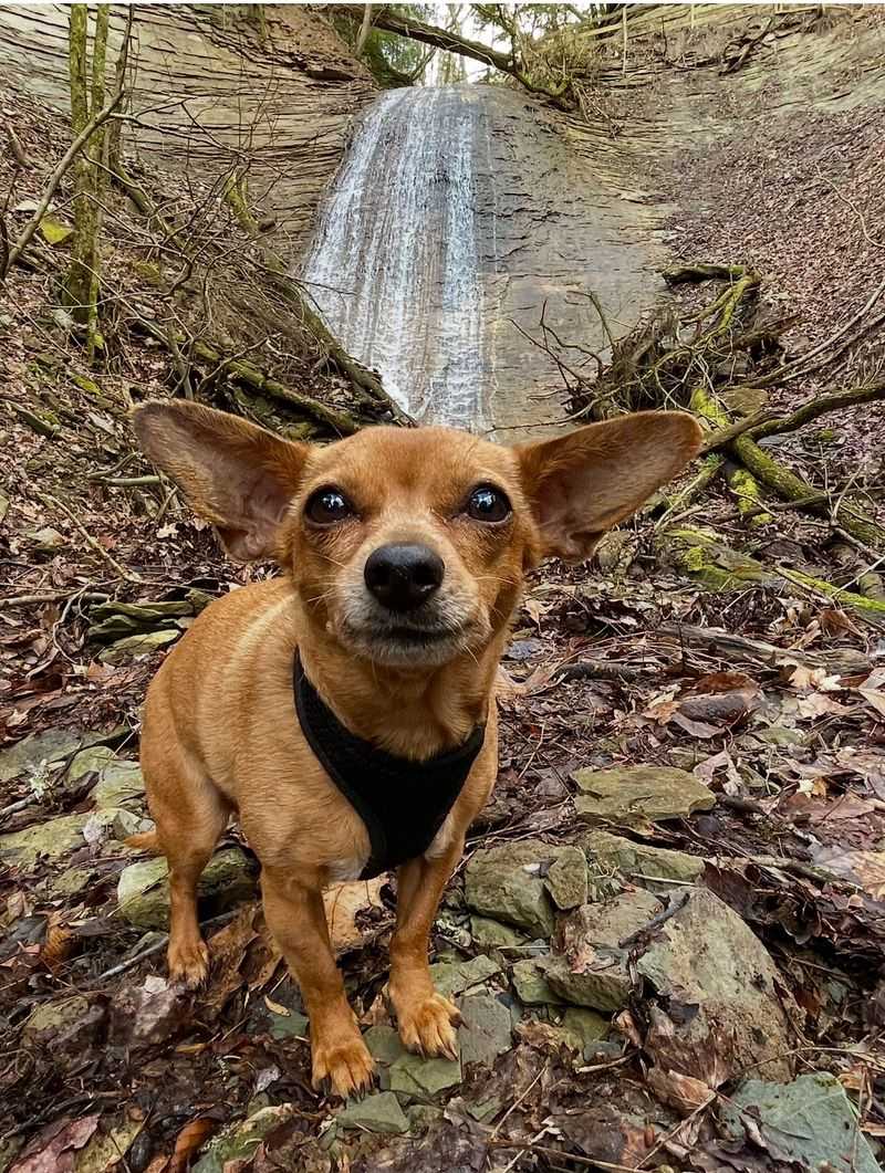 Silver Cascade Falls, Waveland Silver Cascade Falls, Waveland