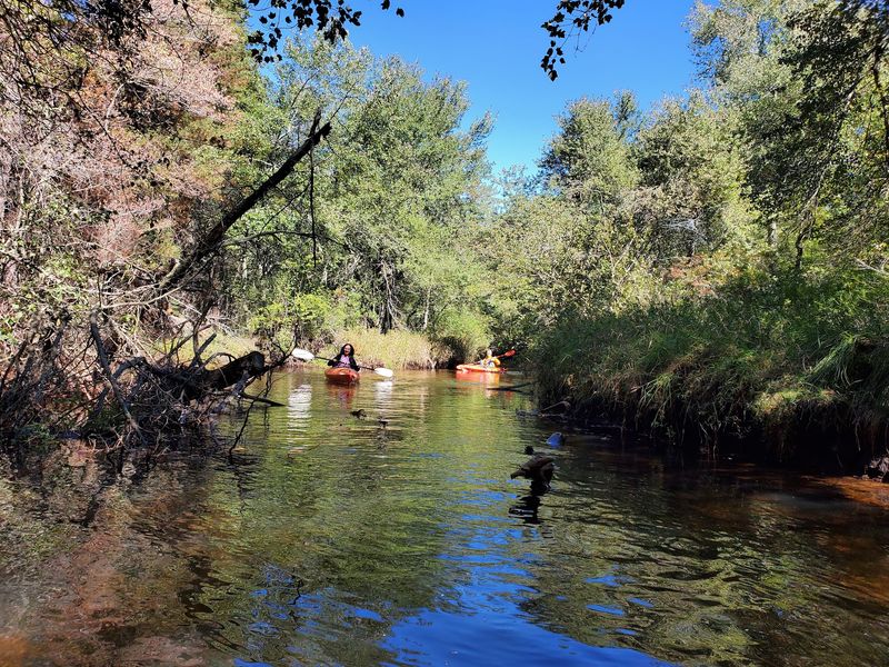 Six Miles of Twists on the Batsto River Six Miles of Twists on the Batsto River